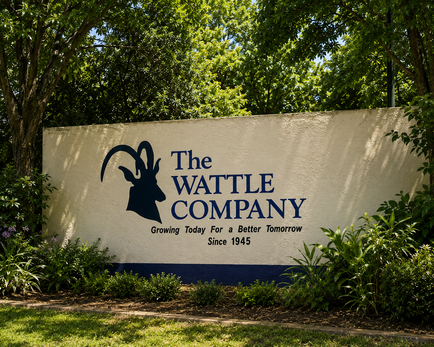 The Wattle Company forestry operations